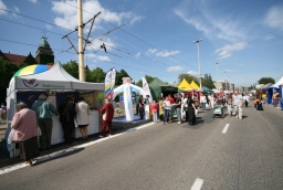 Picnic on Odra River 