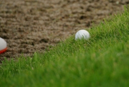 Szczecin Open 2011  /fot. SG/ 