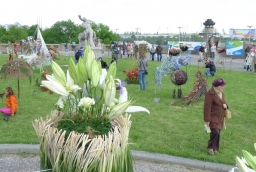 Piknik nad Odrą 2012  /fot.: mab / 