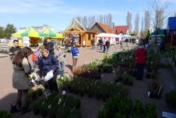 15. Targi Miasto Ogród - Zielony Design  /fot.: mab / 