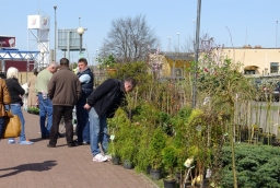 15. Targi Miasto Ogród - Zielony Design  /fot.: mab / 