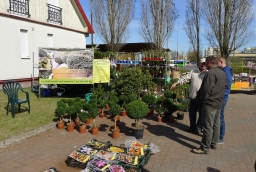 15. Targi Miasto Ogród - Zielony Design  /fot.: mab / 