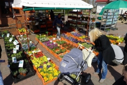 15. Targi Miasto Ogród - Zielony Design  /fot.: mab / 