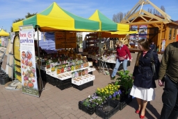 15. Targi Miasto Ogród - Zielony Design  /fot.: mab / 