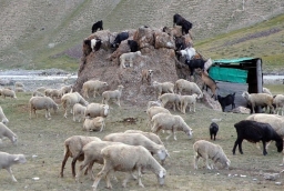 GBS Bank Tien – Shan Expedition 2012 