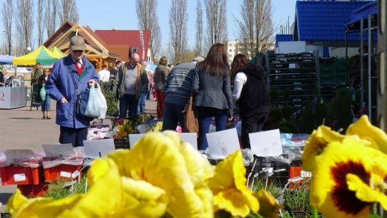 15. Targi Miasto Ogród - Zielony Design /fot.: mab / 