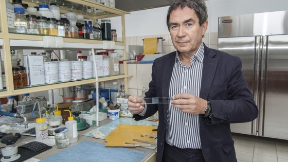 Prof. Zbigniew Czech pokazuje próbkę szkła sklejonego za pomocą samoprzylepnej taśmy strukturalnej /fot.: ak / 